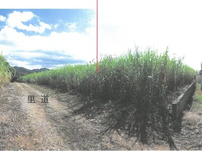 鹿児島県大島郡天城町 農地 50万円の競売物件 #11