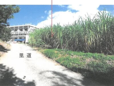 鹿児島県大島郡天城町 農地 50万円の競売物件 #13