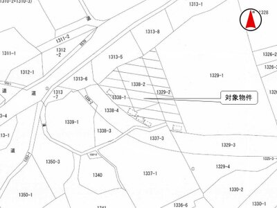 長野県上田市 大屋駅 土地 276万円の国税庁公売物件 #3