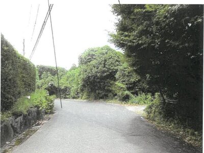 鹿児島県南さつま市 土地 125万円の競売物件 #3