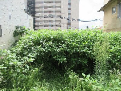 (値下げ) 岩手県盛岡市 上盛岡駅7分 土地 1,073万円の官公庁公売物件 #4