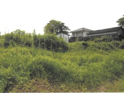 大分県速見郡日出町 大神駅17分 農地 81万円の競売物件 #1
