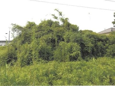 大分県速見郡日出町 大神駅17分 農地 81万円の競売物件 #3