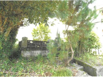大分県速見郡日出町 大神駅17分 農地 81万円の競売物件 #6