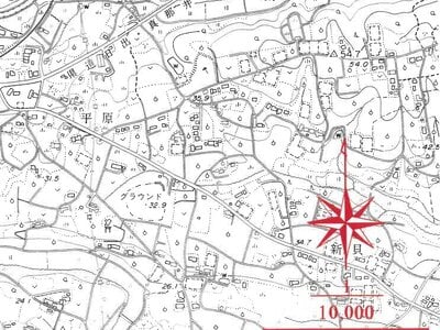 大分県速見郡日出町 大神駅18分 農地 84万円の競売物件 #4