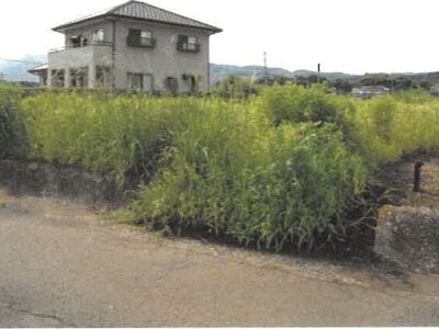 大分県速見郡日出町 大神駅18分 農地 49万円の競売物件 #2