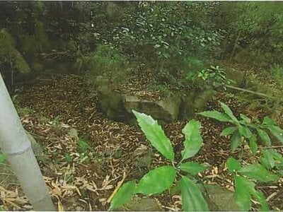 (値下げ) 兵庫県神戸市北区 神鉄六甲駅10分 土地 120万円の競売物件 #6