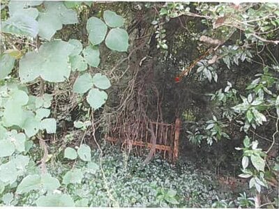 (値下げ) 兵庫県神戸市北区 神鉄六甲駅10分 土地 120万円の競売物件 #9