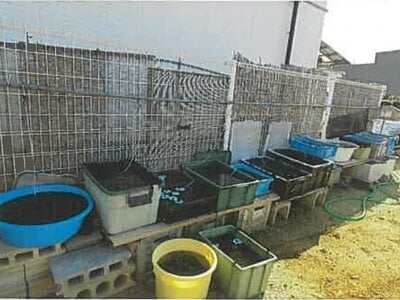 兵庫県南あわじ市 戸建て 338万円の競売物件 #22