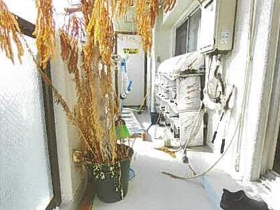 兵庫県神戸市東灘区 青木駅5分 マンション「甲南グランドハイム本山」1,000万円の競売物件 #6