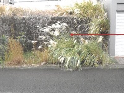 鹿児島県鹿児島市 広木駅23分 土地 777万円の競売物件 #7