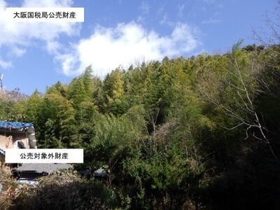 大阪府大東市 野崎駅 土地 50万円の国税庁公売物件 #1