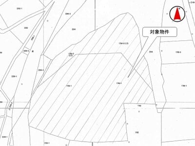 (値下げ) 埼玉県東松山市 森林公園駅 土地 878万円の国税庁公売物件 #2