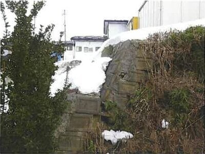 岩手県九戸郡軽米町 金田一温泉駅 戸建て 982万円の競売物件 #3