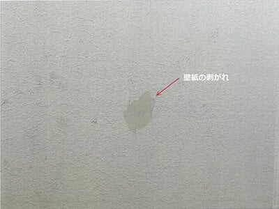 佐賀県佐賀市 佐賀駅 戸建て 473万円の競売物件 #21
