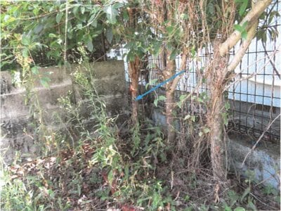 佐賀県佐賀市 鍋島駅 戸建て 943万円の競売物件 #8