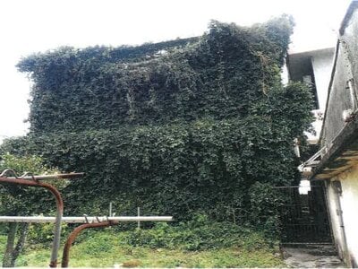 沖縄県うるま市 戸建て 116万円の競売物件 #1