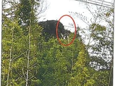 兵庫県神戸市垂水区 東垂水駅22分 戸建て 495万円の競売物件 #5