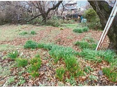 和歌山県橋本市 橋本駅2分 農地 24万円の競売物件 #3