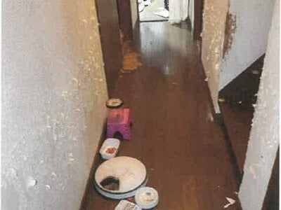 (値下げ) 兵庫県姫路市 播磨新宮駅 戸建て 64万円の競売物件 #7