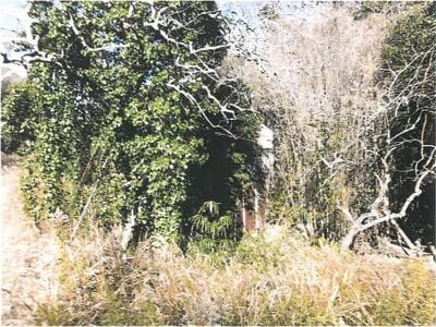 兵庫県加古川市 宝殿駅 戸建て 95万円の競売物件 #15