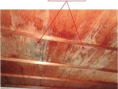 (値下げ) 徳島県海部郡海陽町 阿波海南駅11分 戸建て 235万円の競売物件 #22