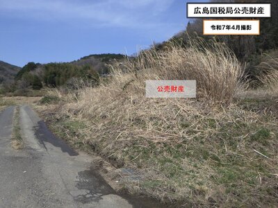 (値下げ) 岡山県加賀郡吉備中央町 農地 11万円の国税庁公売物件 #3