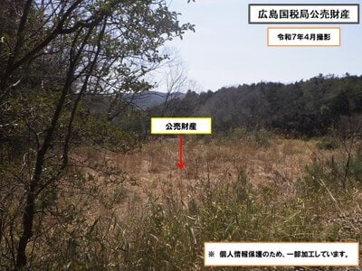 (値下げ) 岡山県加賀郡吉備中央町 農地 14万円の国税庁公売物件 #2
