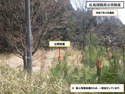 (値下げ) 岡山県加賀郡吉備中央町 農地 14万円の国税庁公売物件 #3