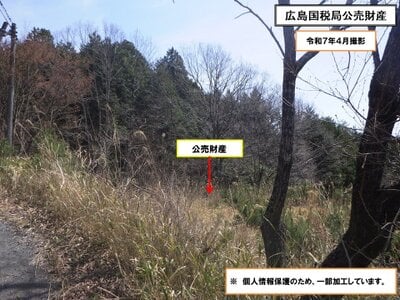 (値下げ) 岡山県加賀郡吉備中央町 農地 14万円の国税庁公売物件 #4