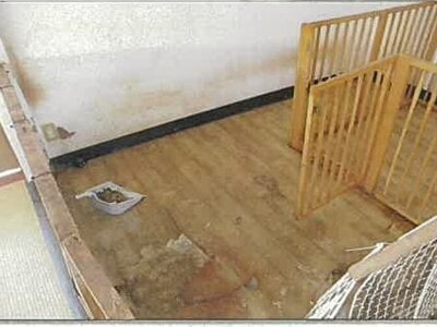 秋田県仙北郡美郷町 羽後四ツ屋駅 戸建て 322万円の競売物件 #10