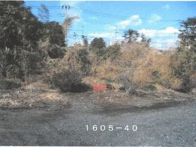 栃木県鹿沼市 鹿沼駅30分 土地 772万円の競売物件 #2