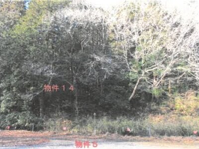 栃木県芳賀郡益子町 益子駅 戸建て 5,532万円の競売物件 #10