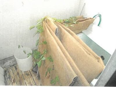 栃木県小山市 間々田駅18分 戸建て 1,728万円の競売物件 #43