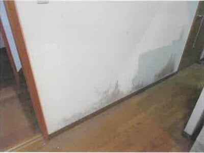福島県郡山市 磐城守山駅29分 戸建て 469万円の競売物件 #19