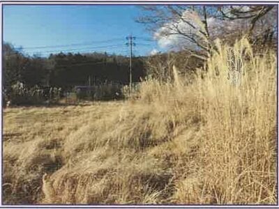 山梨県南都留郡山中湖村 土地 355万円の競売物件 #3