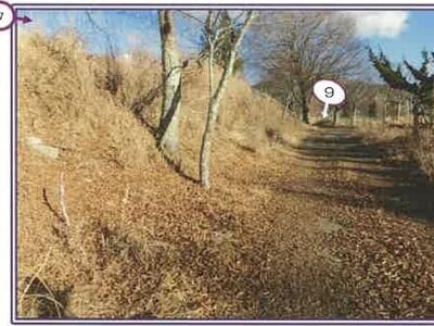 山梨県南都留郡山中湖村 土地 355万円の競売物件 #8