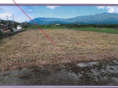 山梨県西八代郡市川三郷町 市川大門駅10分 農地 157万円の競売物件 #4