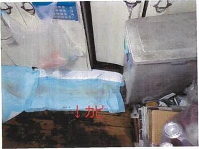和歌山県和歌山市 和歌山港駅22分 戸建て 3,129万円の競売物件 #29