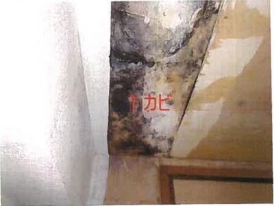 和歌山県和歌山市 和歌山港駅22分 戸建て 3,129万円の競売物件 #30