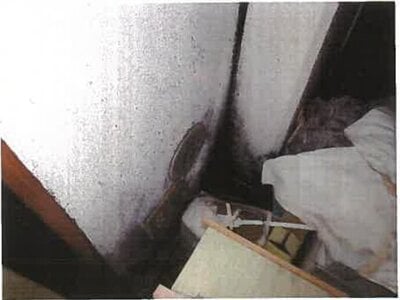 和歌山県和歌山市 和歌山港駅22分 戸建て 3,129万円の競売物件 #49