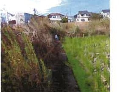 和歌山県和歌山市 布施屋駅15分 農地 170万円の競売物件 #5