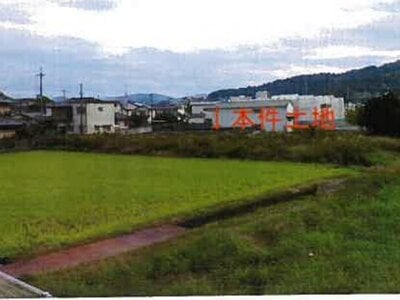 和歌山県岩出市 岩出駅8分 農地 184万円の競売物件 #1