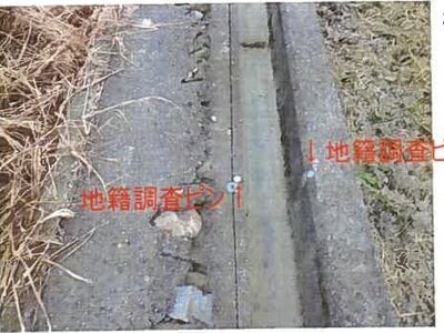 和歌山県岩出市 岩出駅8分 農地 184万円の競売物件 #3