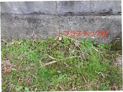 和歌山県岩出市 岩出駅8分 農地 184万円の競売物件 #5
