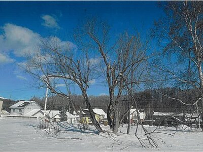 北海道北見市 柏陽駅28分 土地 183万円の競売物件 #4