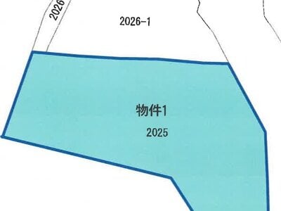 (値下げ) 福島県大沼郡会津美里町 会津高田駅 戸建て 122万円の競売物件 #30