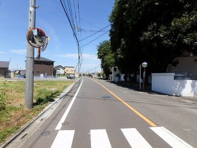 埼玉県深谷市 深谷駅20分 農地 1,420万円の国有財産物件 #2