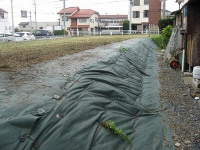 茨城県水戸市 赤塚駅19分 土地 1,210万円の国有財産物件 #3