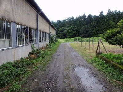 (値下げ) 栃木県日光市 下今市駅23分 土地 108万円の国有財産物件 #1